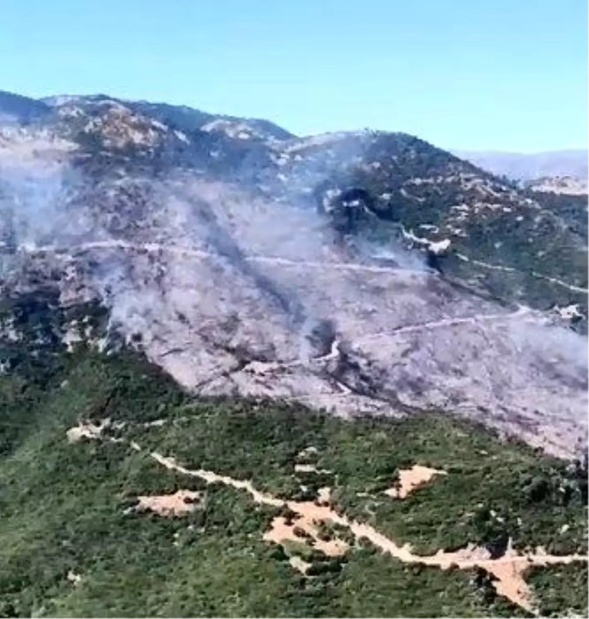 Aydın’da Zirai Alanda Başlayan Yangınla Mücadele Sürüyor