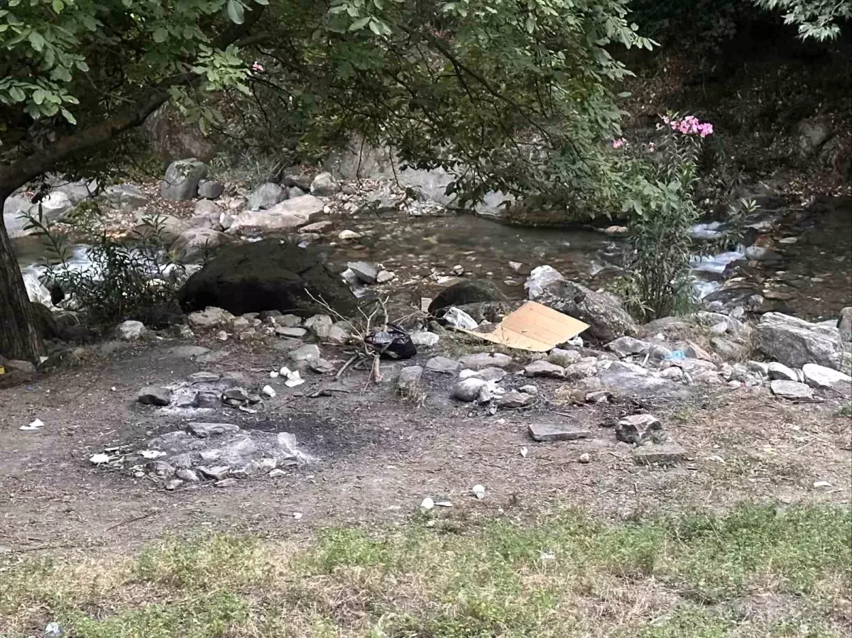 Ormanlık Alanda Mangal Yakana Yüksek Ceza