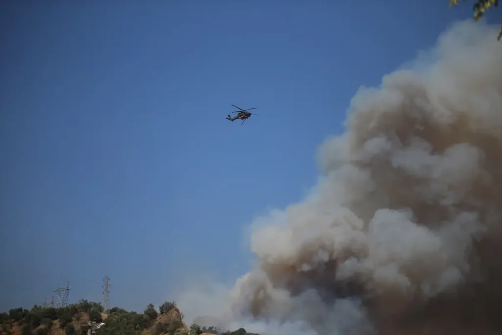 Aydın Efeler’de Ağaçlık Alanda Yangın