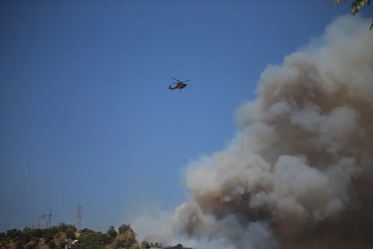 Aydın Efeler’de Ağaçlık Alanda Yangın
