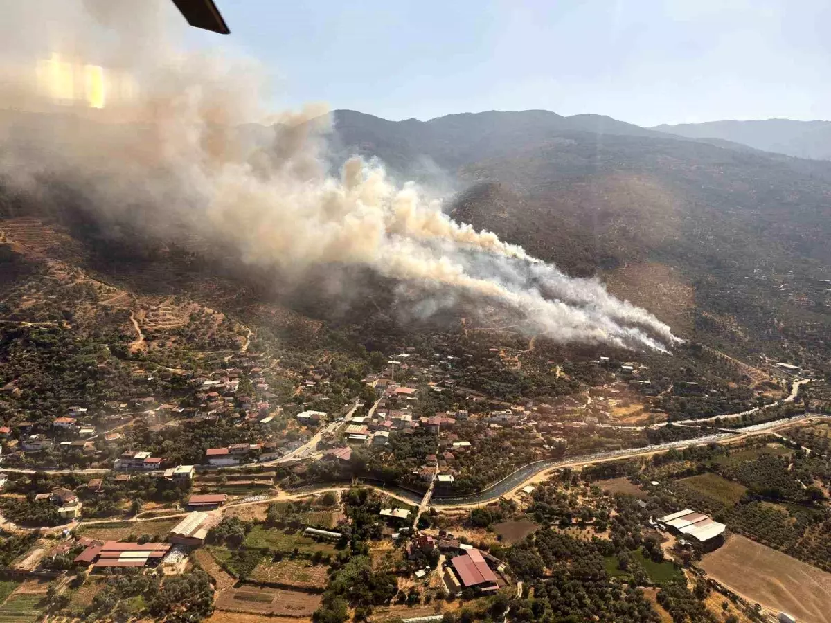 Aydın’da Orman Yangını Kontrol Altına Alınmaya Çalışılıyor