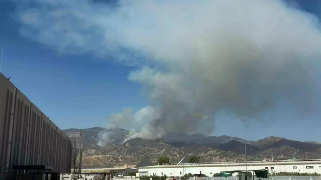 Yangın Tehlikesi Aydın’ı Kuşattı: Efeler’i Etkileyen Yangın