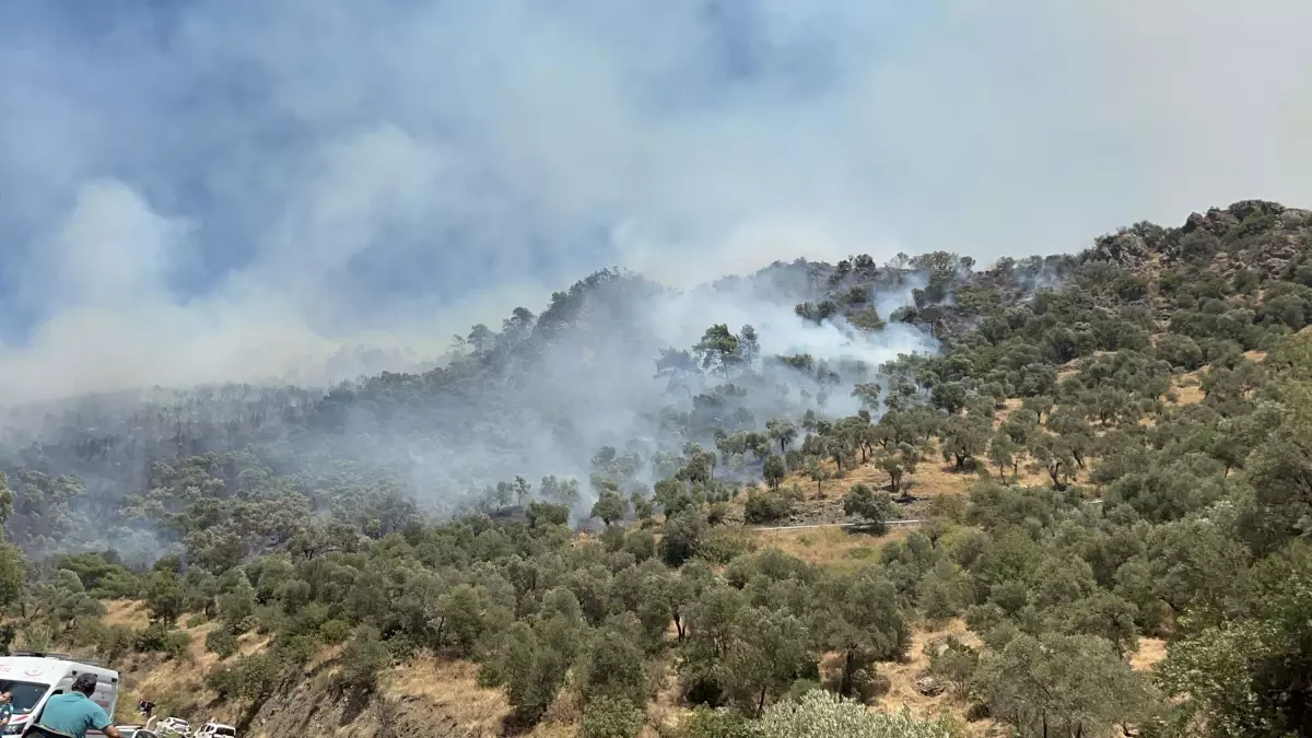 Aydın’da Tarım Arazisinden Ormana Sıçrayan Yangın