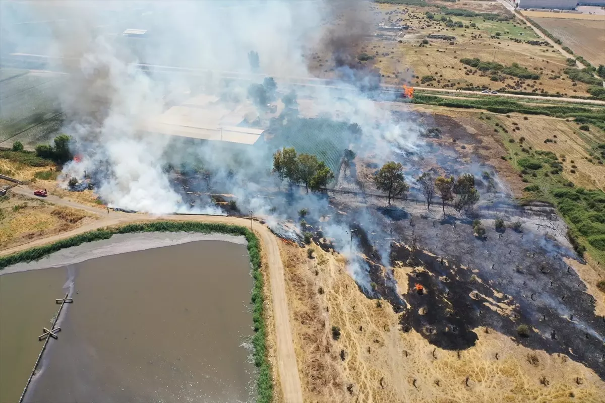 Aydın’da Otluk Alan Yangını Kontrol Altına Alındı