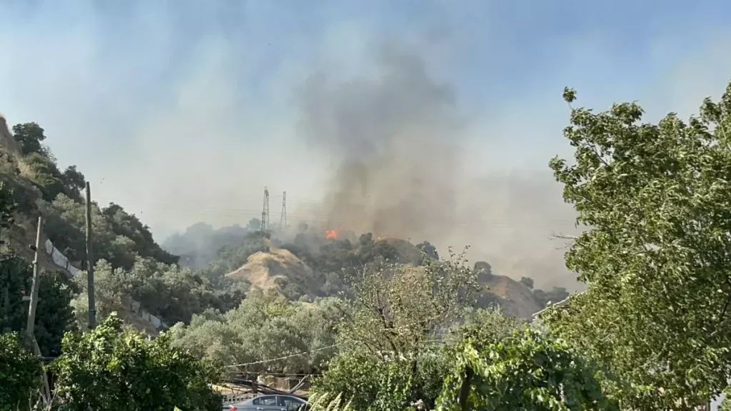 Aydın’da Tarım Arazisinden Ormana Sıçrayan Yangın