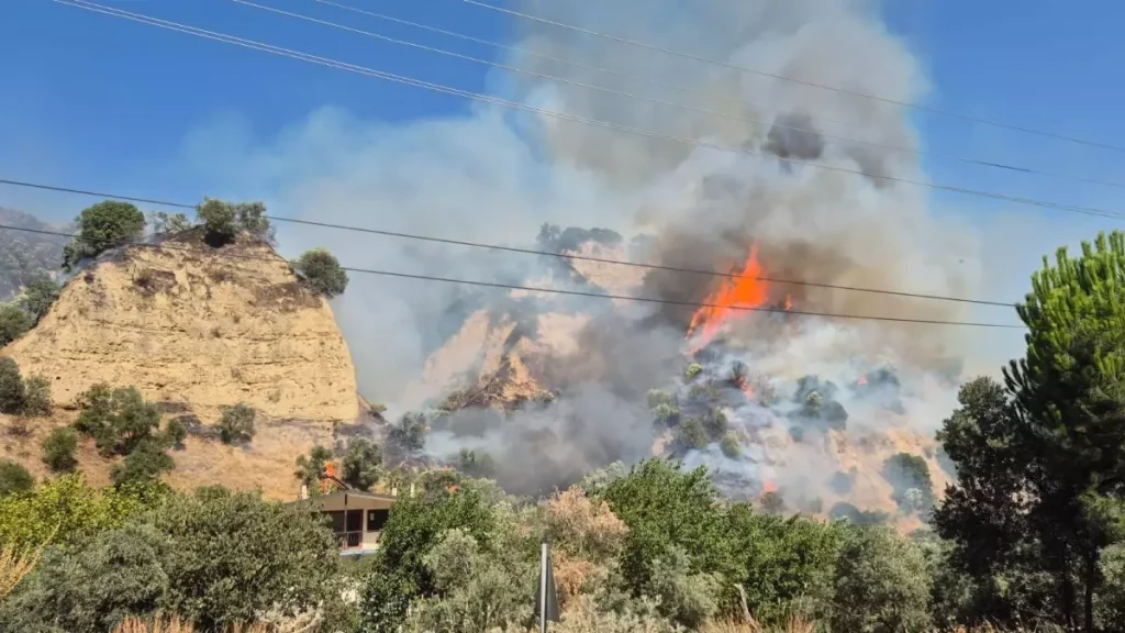 Aydın’daki Yangın Kontrol Altına Alındı