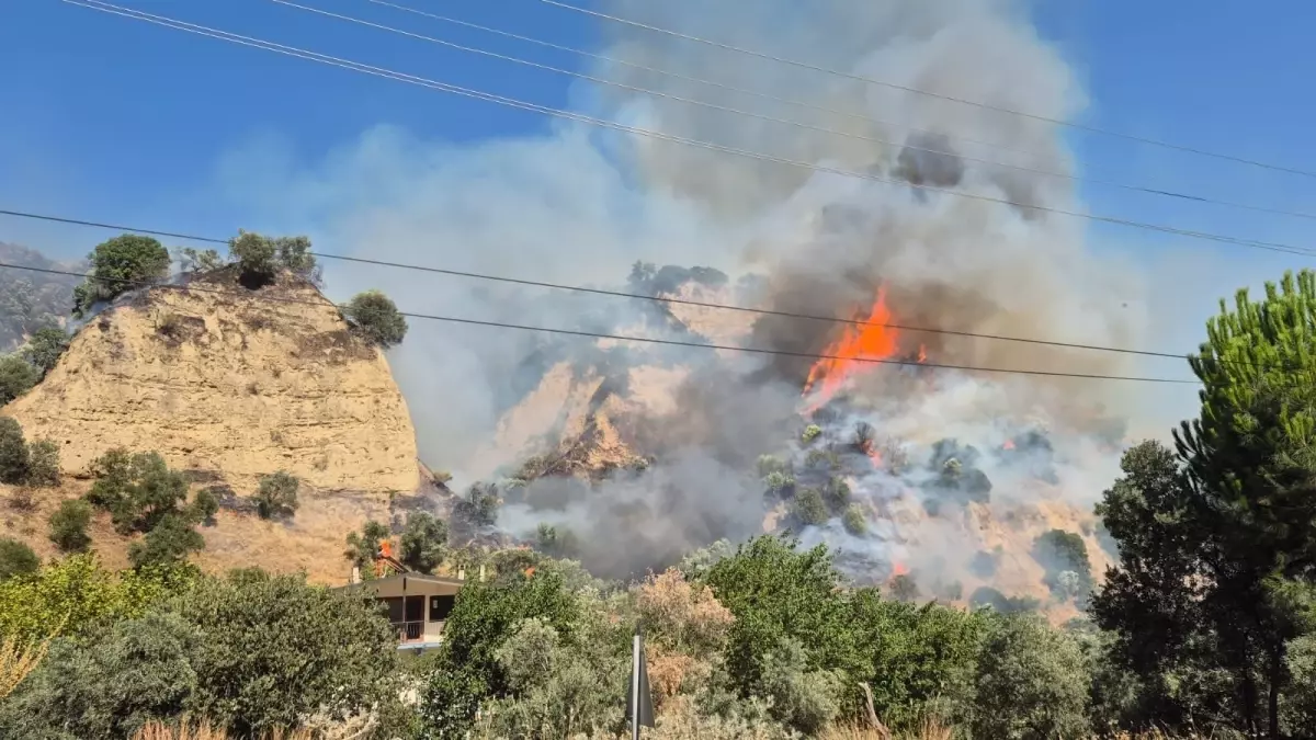 Aydın’daki Yangın Kontrol Altına Alındı