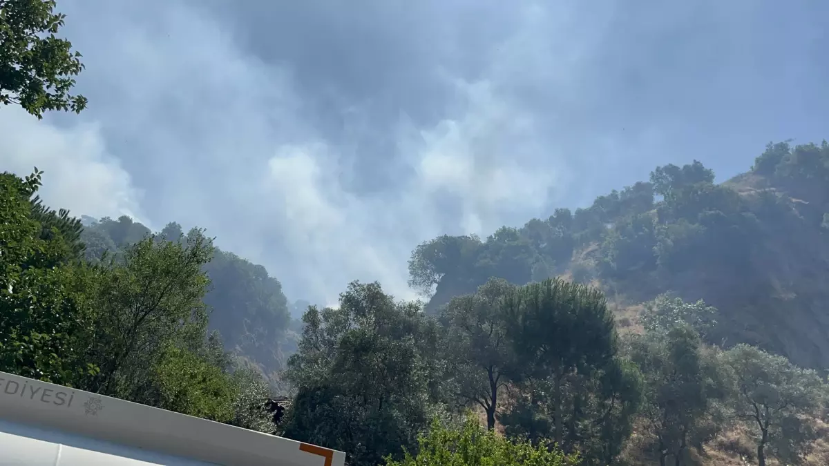 Tarım Arazisinde Yangın: Ekipler Müdahaleye Devam Ediyor