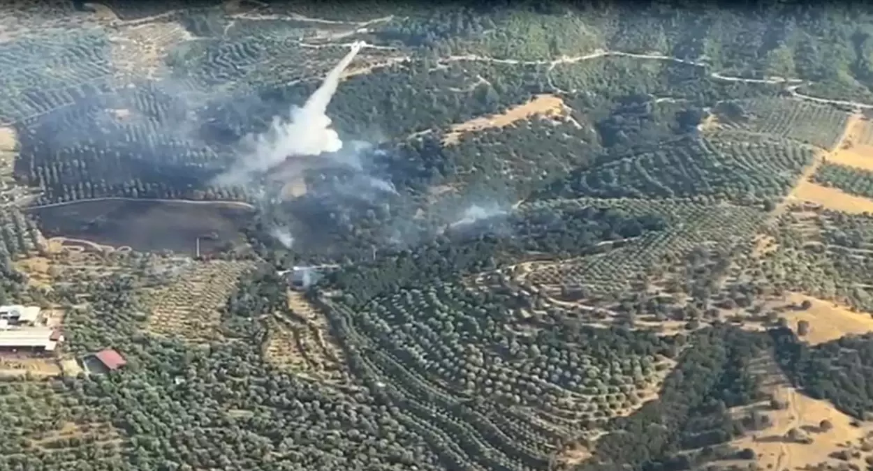 Ege Bölgesi’nde Tarım Arazisi Yangını Kontrol Altına Alındı