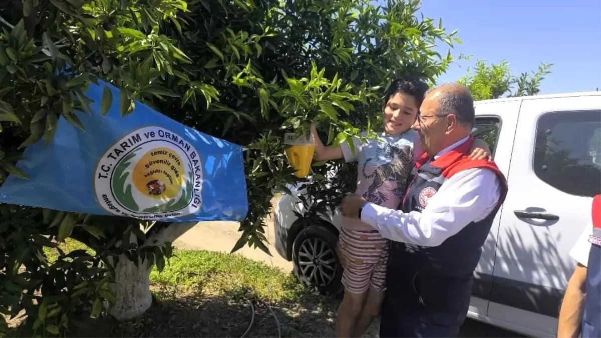 Aydın’da Narenciye Üretimiyle İlgili Önemli Adım