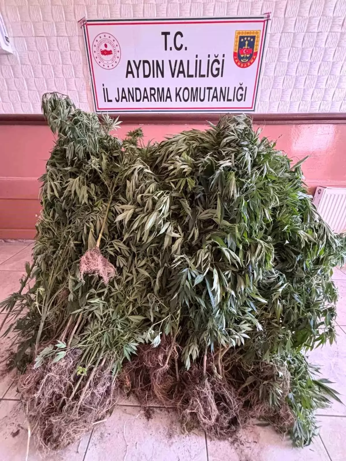 Uyuşturucu Tacirlerine Aydın’da Büyük Darbe