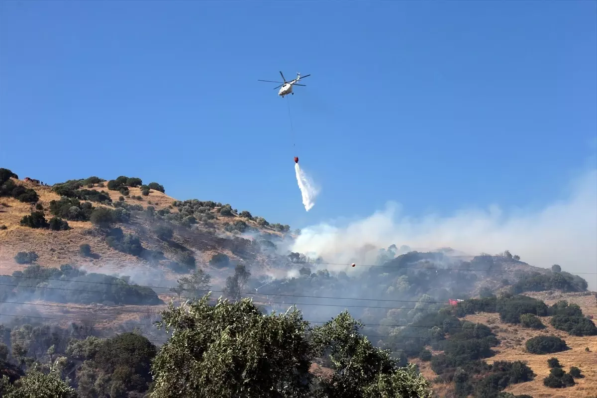 Aydın’da Zeytinlik Yangınına Havadan ve Karadan Müdahale