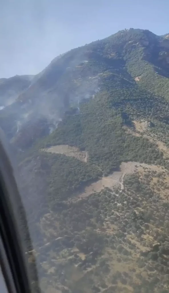 Aydın’da Ormanya 2. Gününde de Müdahale Sürüyor