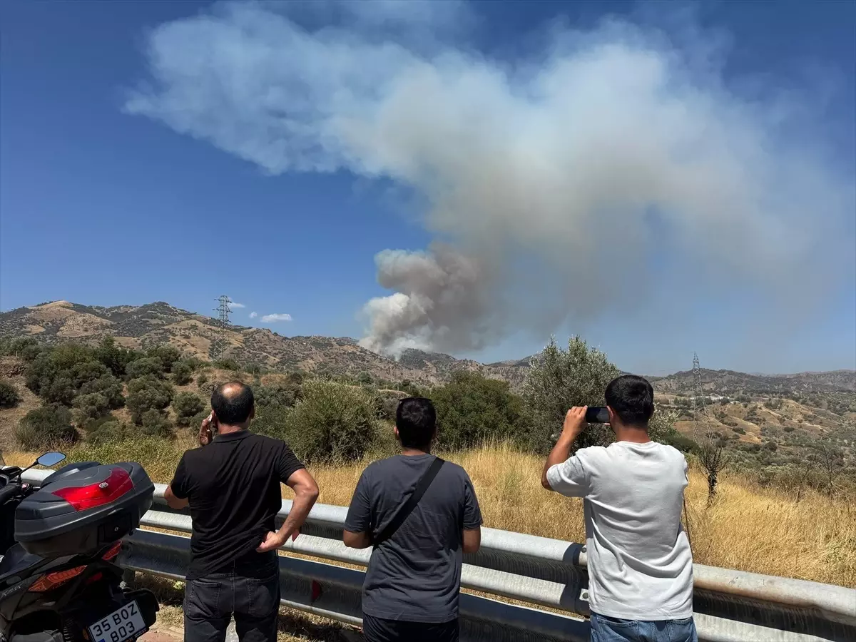 Aydın Efeler’de Ziraat Alanı ve Orman Yangını