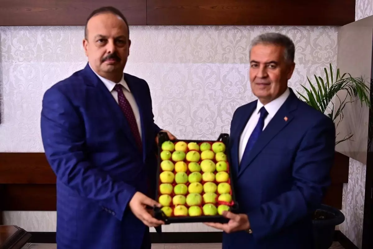 **Taze İncir Festivali İçin Geri Sayım Başladı**