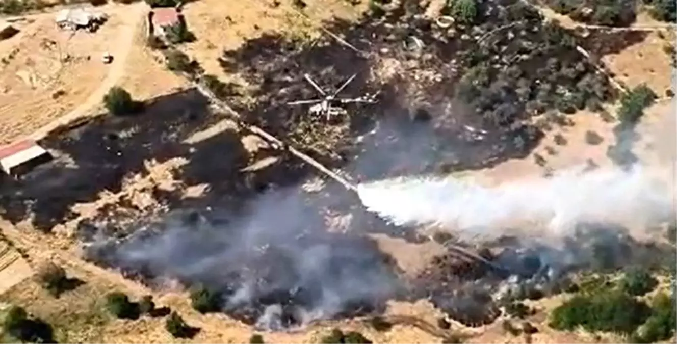 Çine’de Orman yangını: Alevler Kontrol Altına Alındı