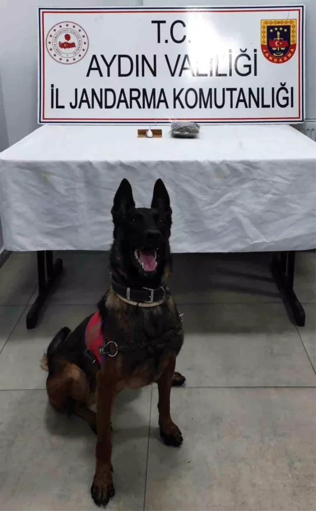 Uyuşturucu Operasyonu: Germencik’te 100 Gram Esrar Ele Geçirildi