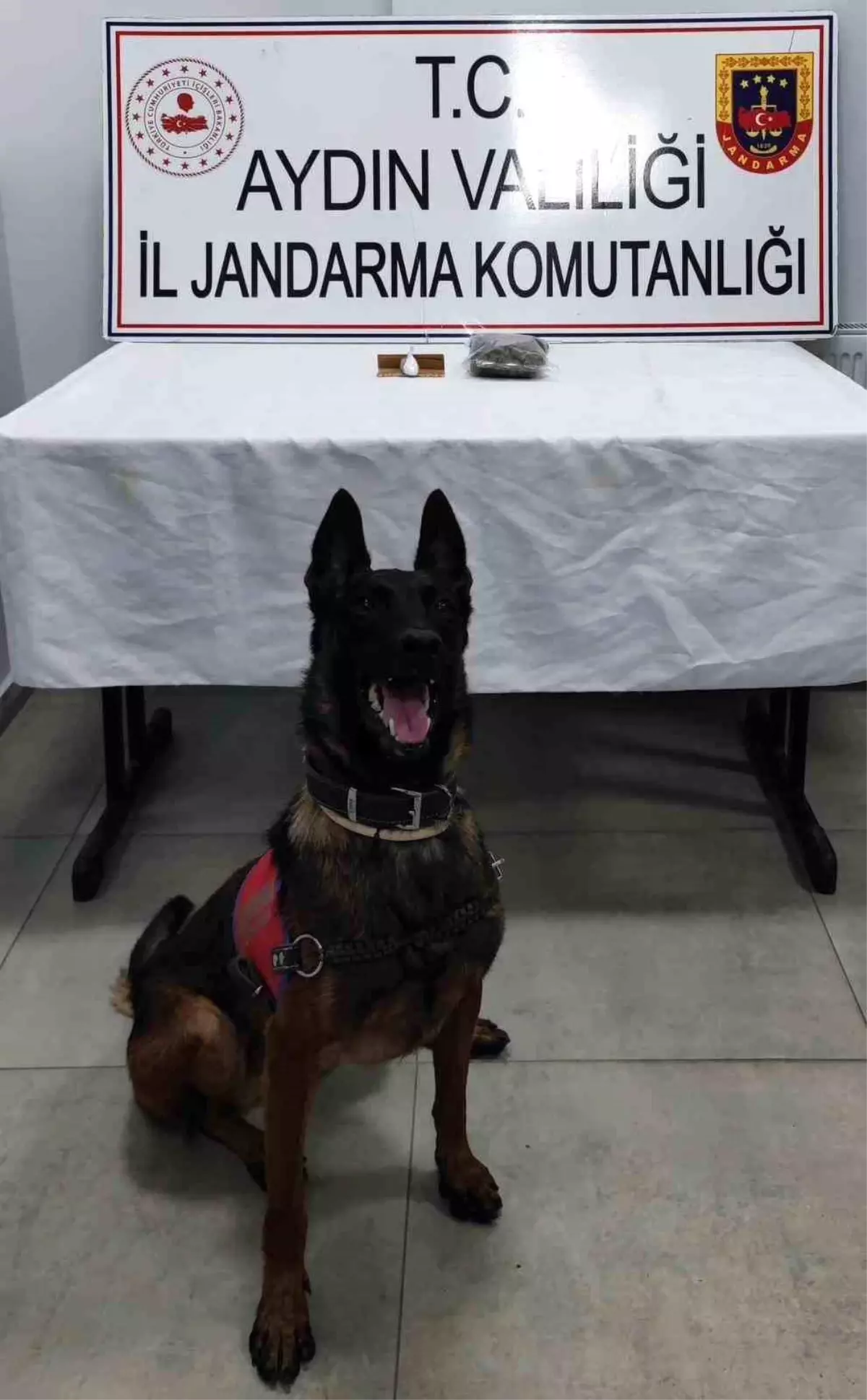 Uyuşturucu Operasyonu: Germencik’te 100 Gram Esrar Ele Geçirildi