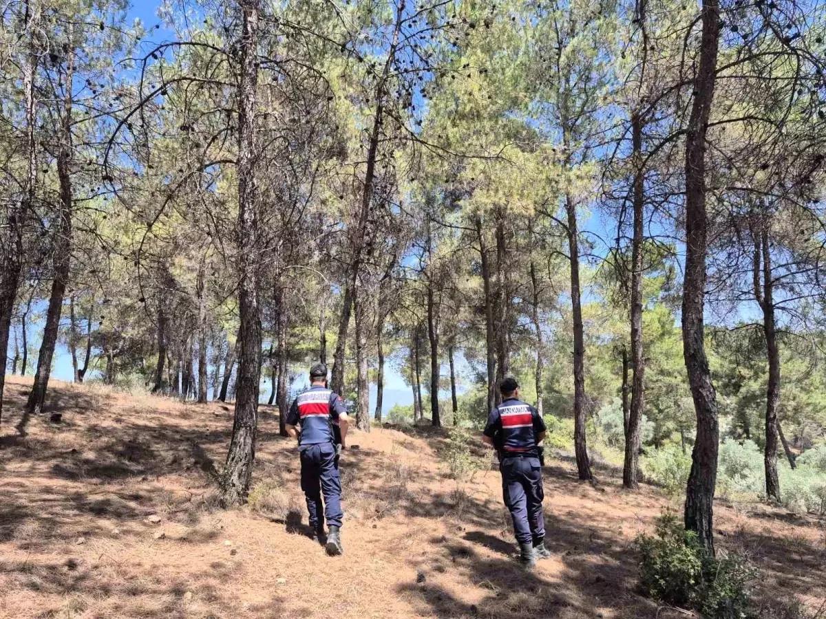 Jandarma Orman Yangınlarına Karşı Nöbet Tutmaya Devam Ediyor