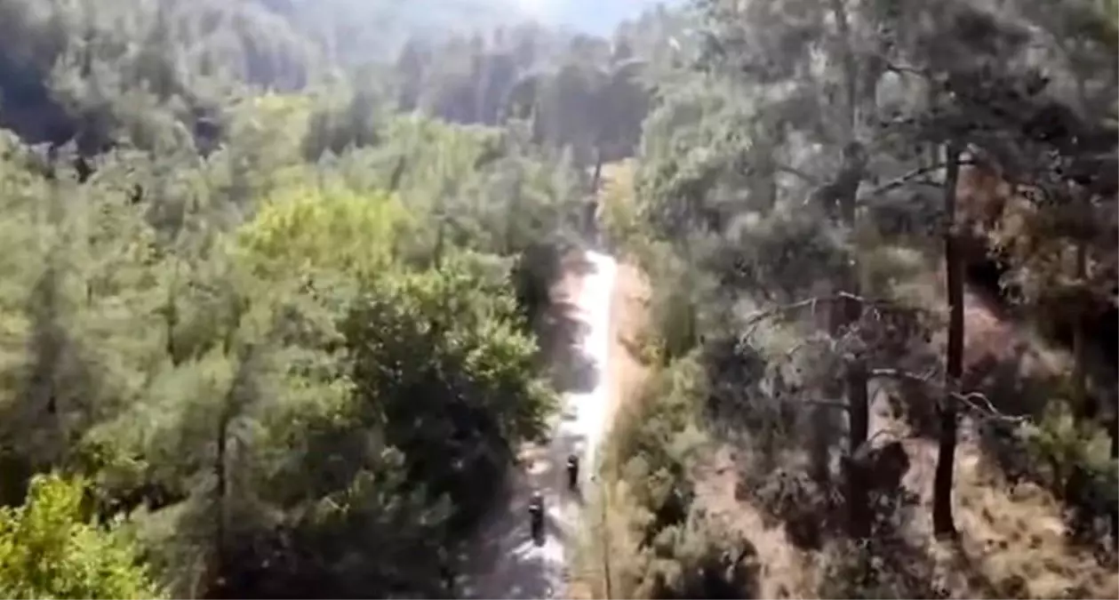 Aydın’da Orman Yangınları Riski Artıyor: Vatandaşlar Uyarıldı