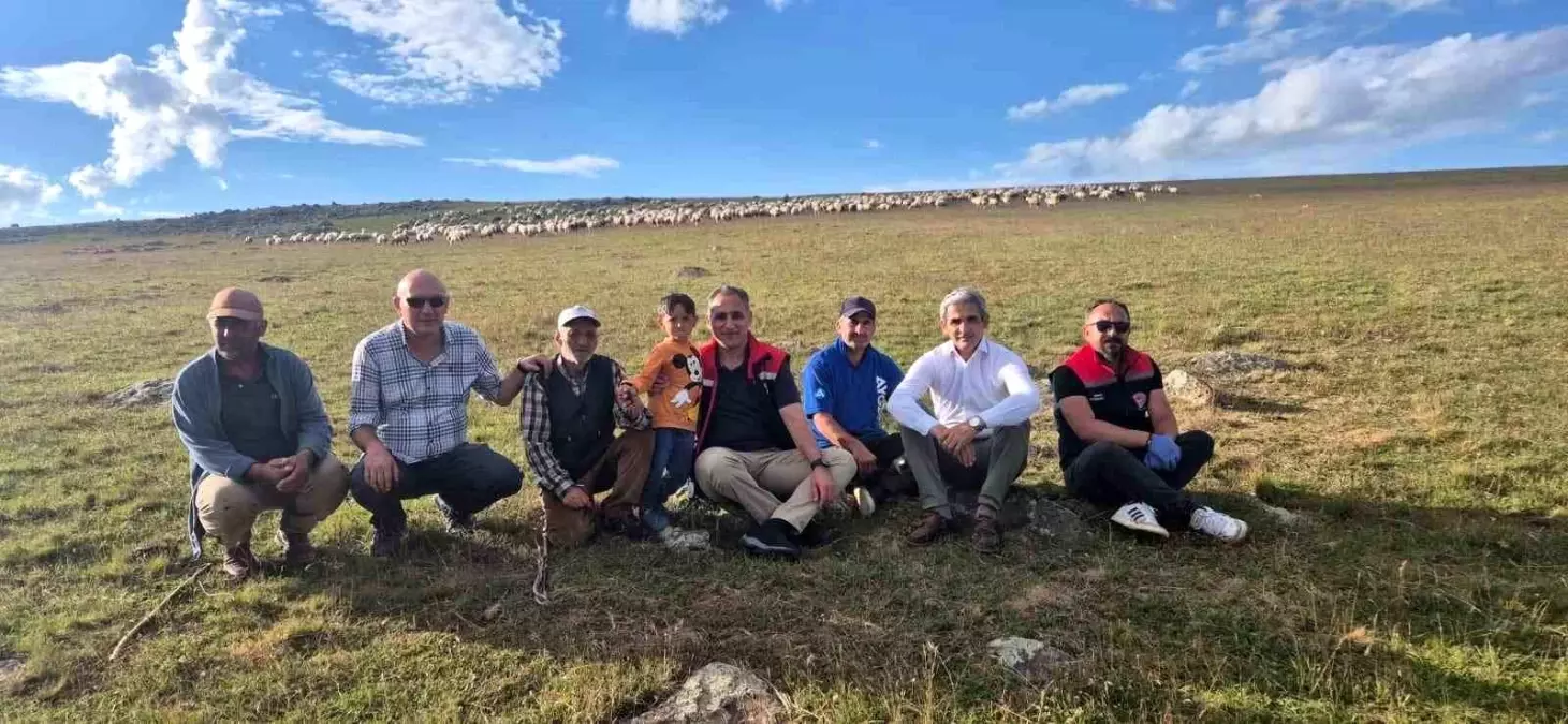 Kars Tarım ve Orman Müdürü Aydın, Yaylalarda İncelemelerde Bulundu