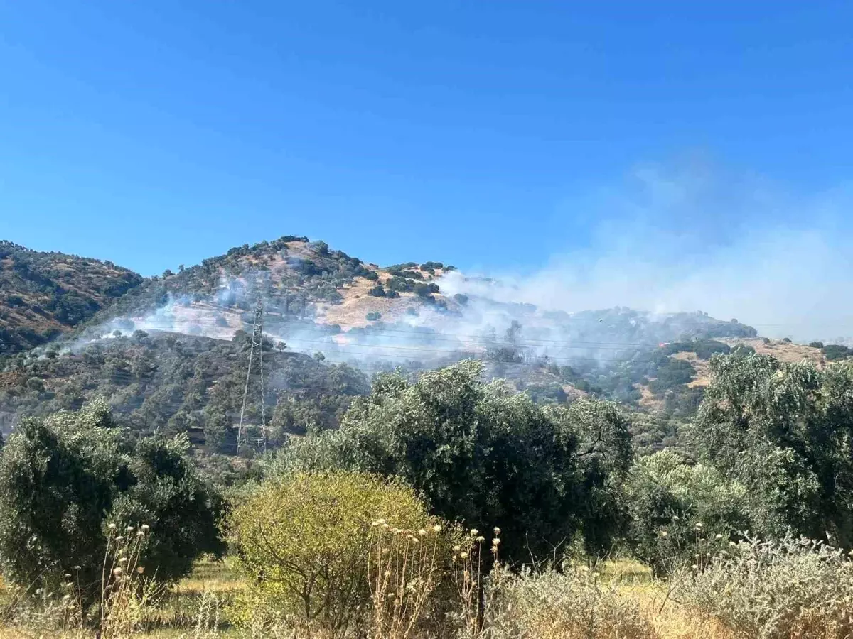 Yangın Ekiplerin Hızlı Müdahalesi ile Kontrol Altına Alındı