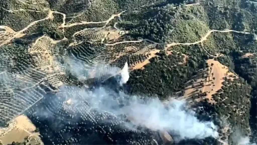 Aydın Kuyucak’ta Zirai Alan ve Makilik Yangını