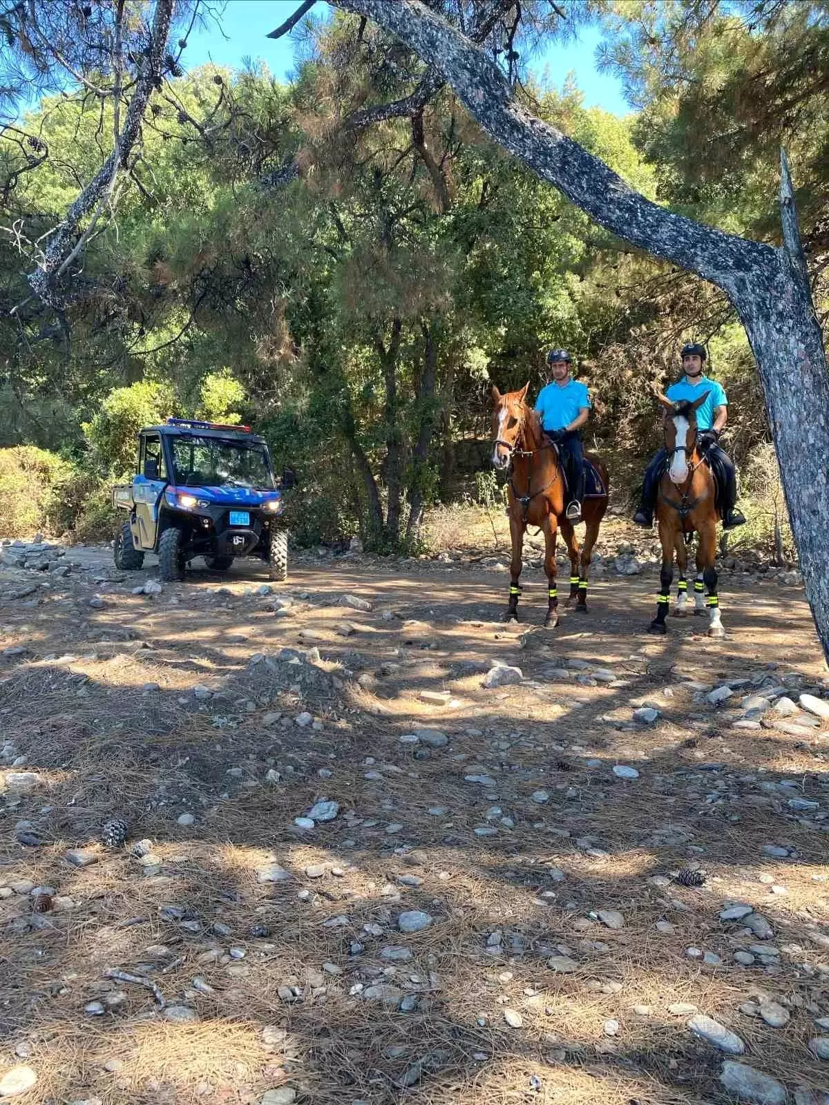 Milli Parkta Yasaklı Bölgeye Girenlere Ceza Yağdı