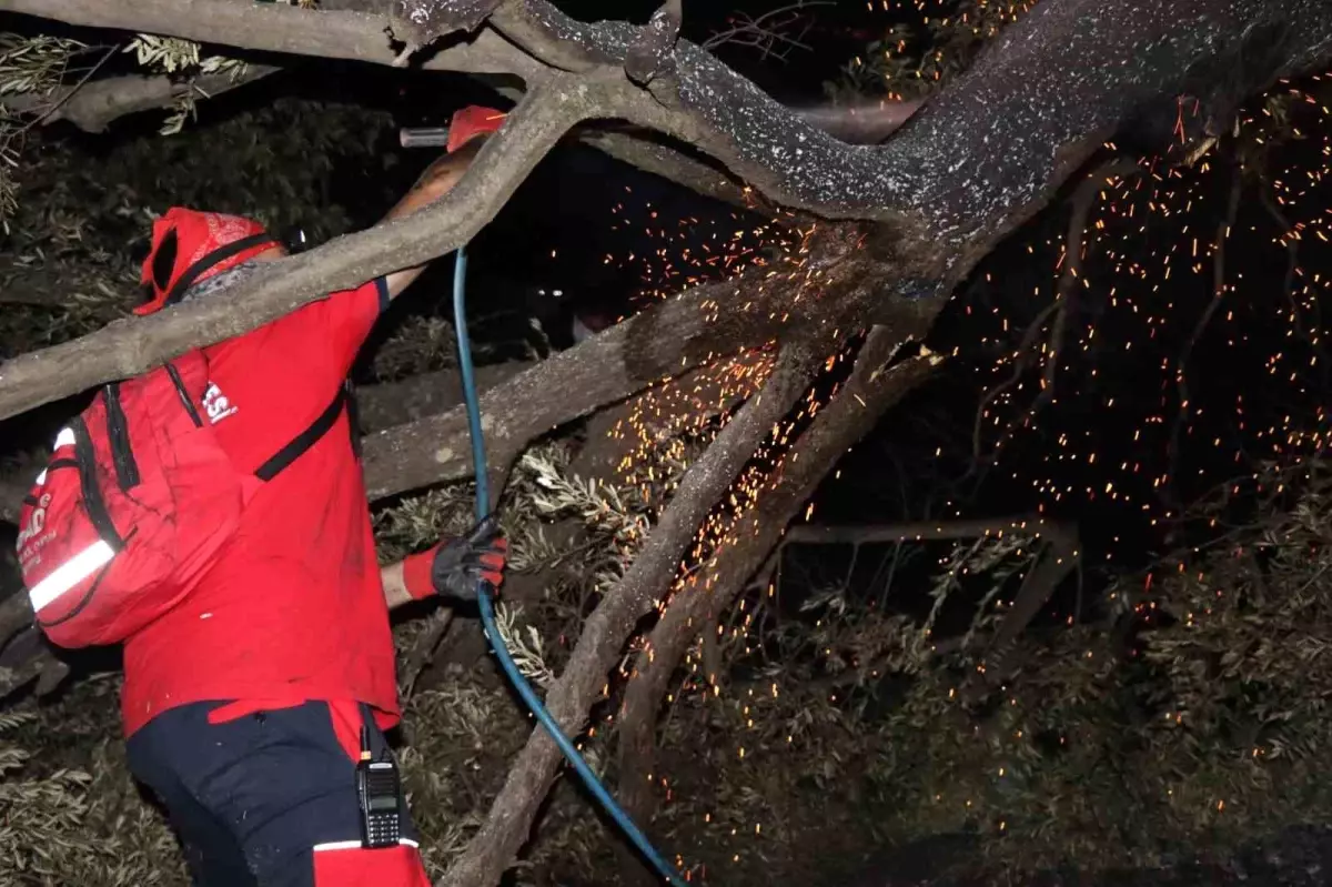 Yangınlarla Mücadelede Başarılı Çalışma: NAFAD Ekibi