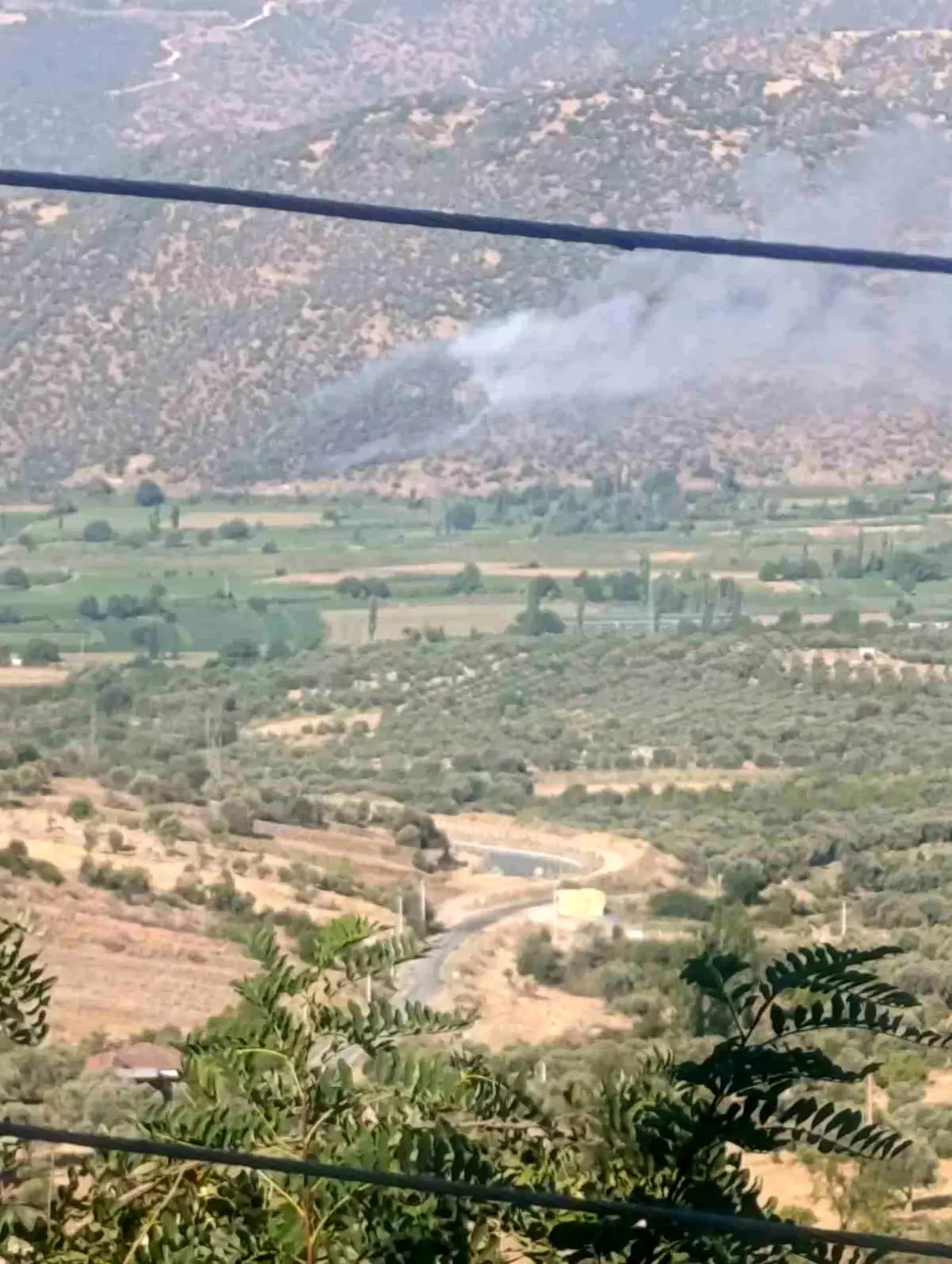 Makilik ve Zirai Alanda Yangın