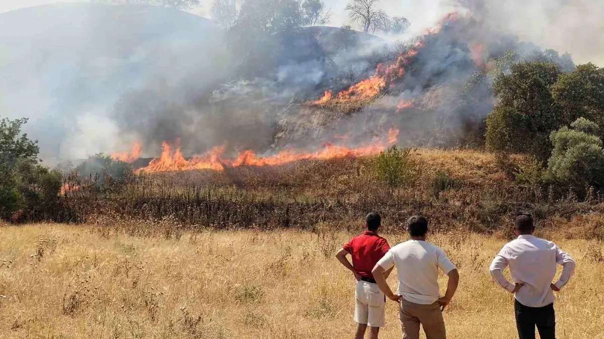 Nazilli’de Zirai Yangın Kontrol Altına Alındı