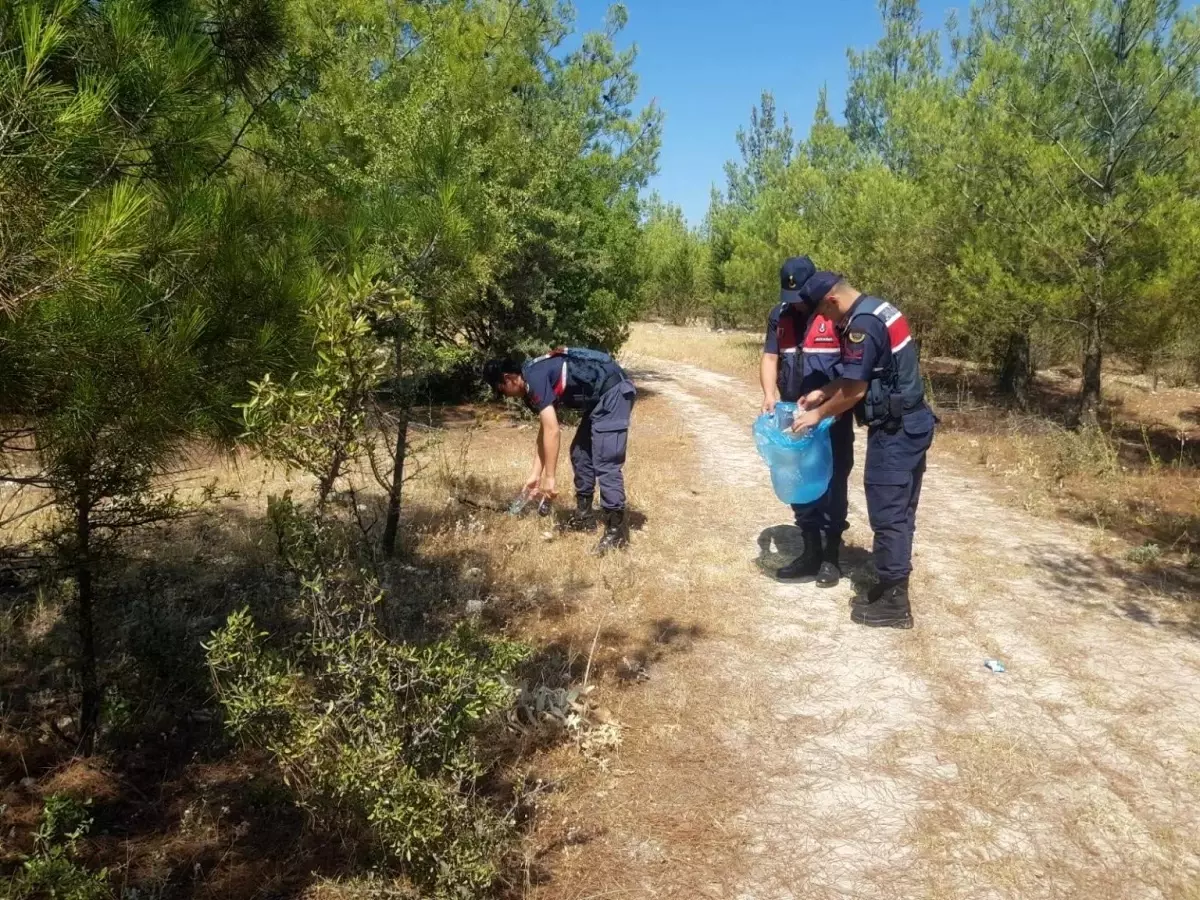 Orman Denetimleri Artırıldı