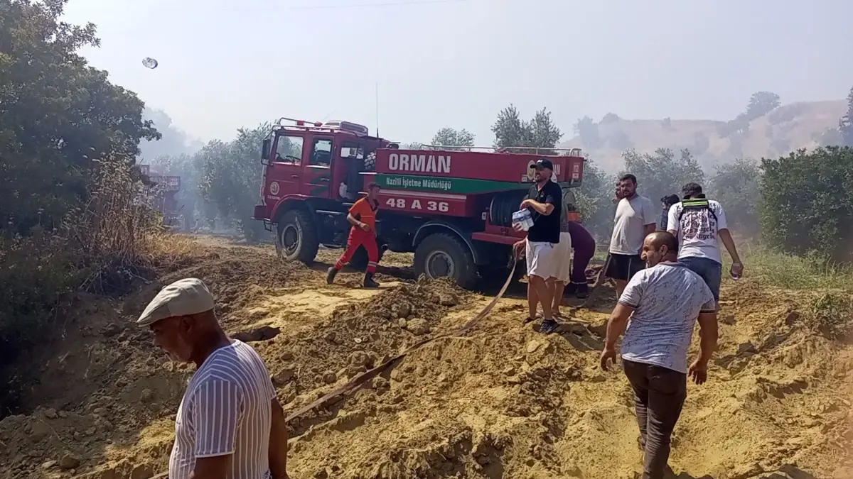 Yangın Kontrol Altına Alındı: 4 Hektar Zeytinlik Zarar Gördü