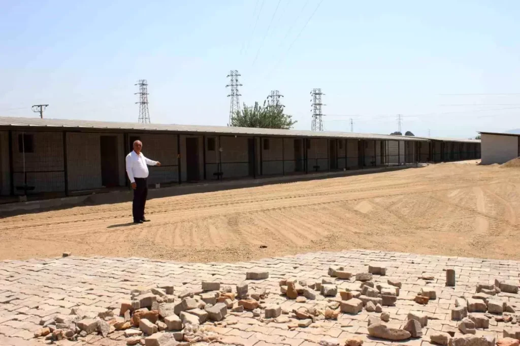 Sultanhisar’da Hayvan Barınağı Projesi Hızla İlerliyor