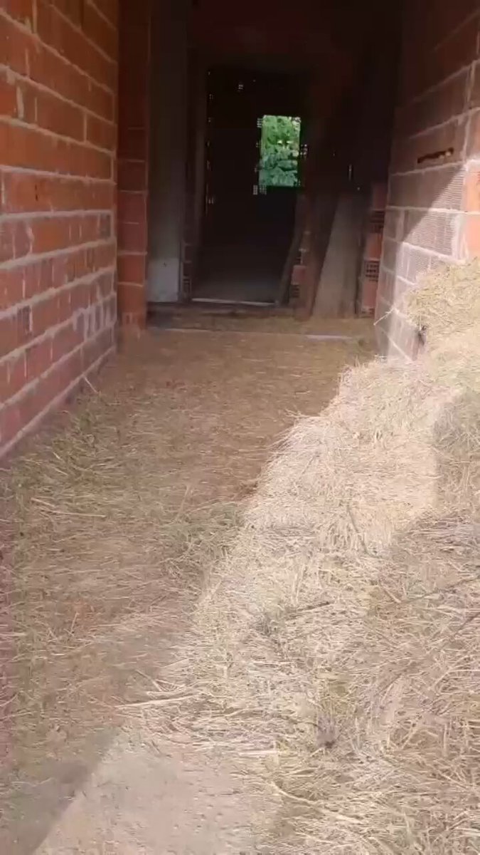 Aydın’da Yeni 112 Acil Sağlık Hizmetleri İstasyonu Hizmete Giriyor