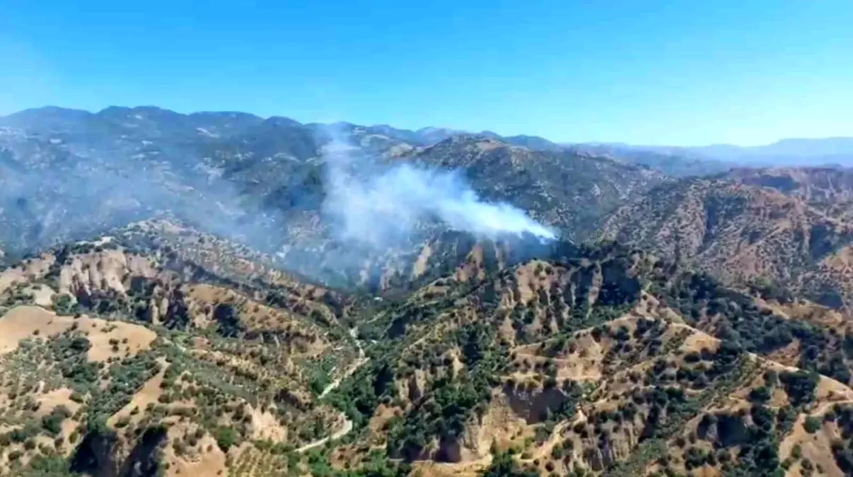 Aydın’da Zeytinlik Alan Yangınına Havadan ve Karadan Müdahale
