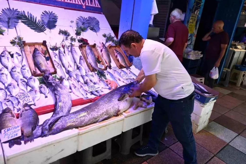 Dev Balık Eskişehir Sokaklarında