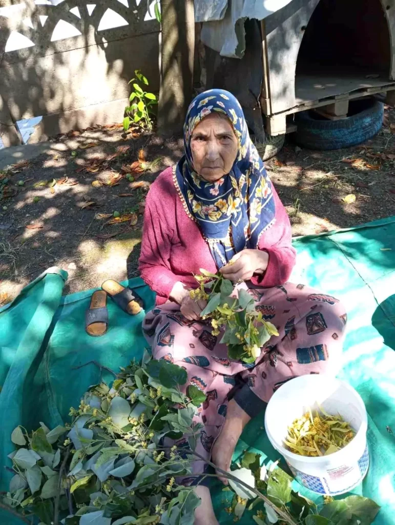 Yaşlı Kadın için Kapsamlı Arama Çalışmaları