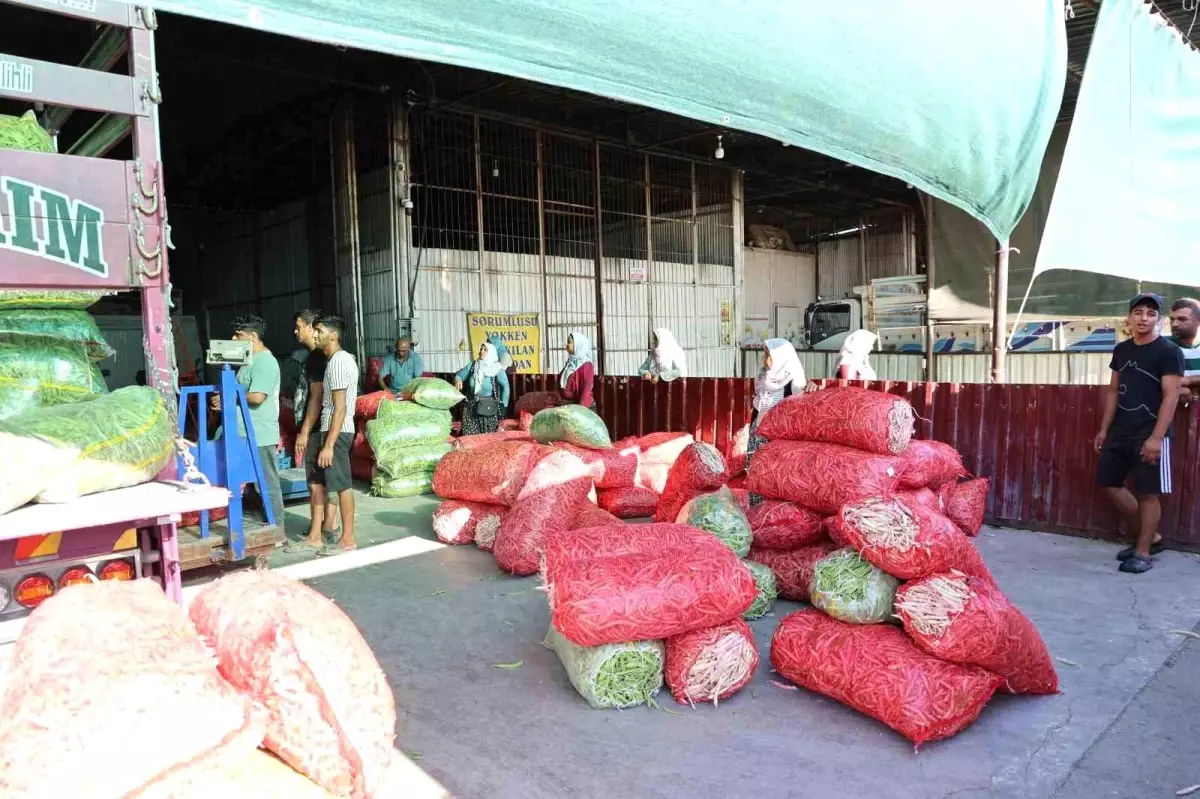 Kırsal Kalkınma Projeleri Başarıya Ulaşıyor