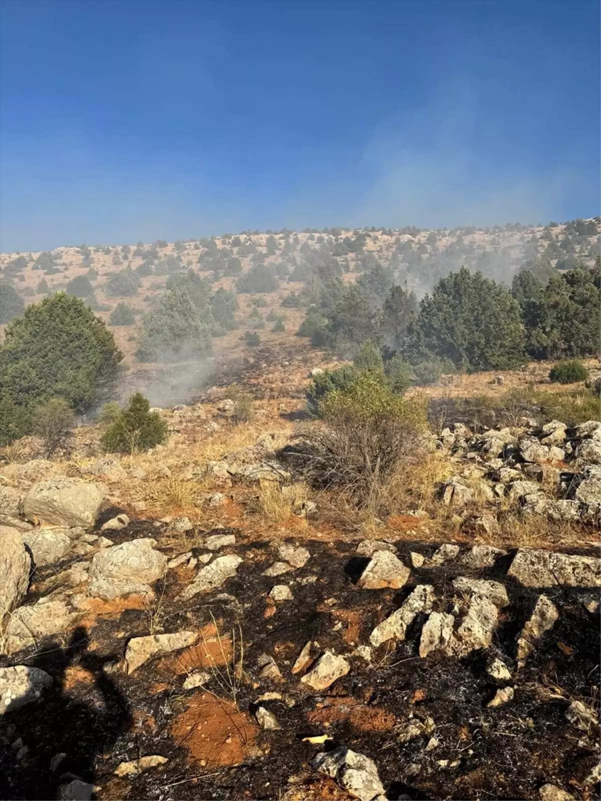 Adana’da Orman Yangını Kontrol Altına Alındı