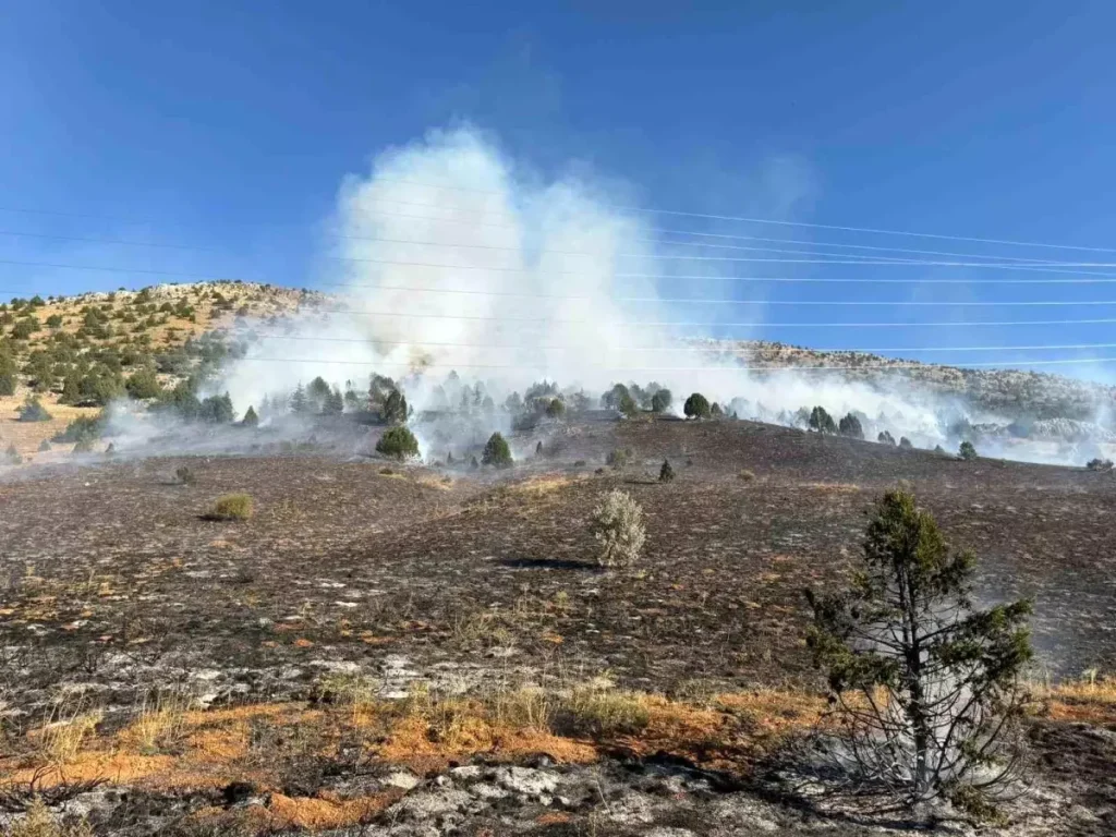 Adana’da Anız Yangını Ormana Sıçradı, Ekipler Müdahale Etti
