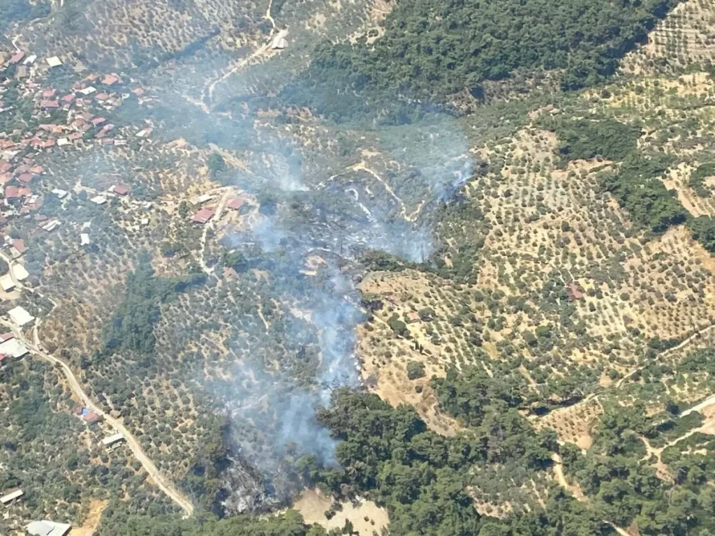 Aydın’da Orman Yangını: Ekipler Müdahaleyi Sürdürüyor