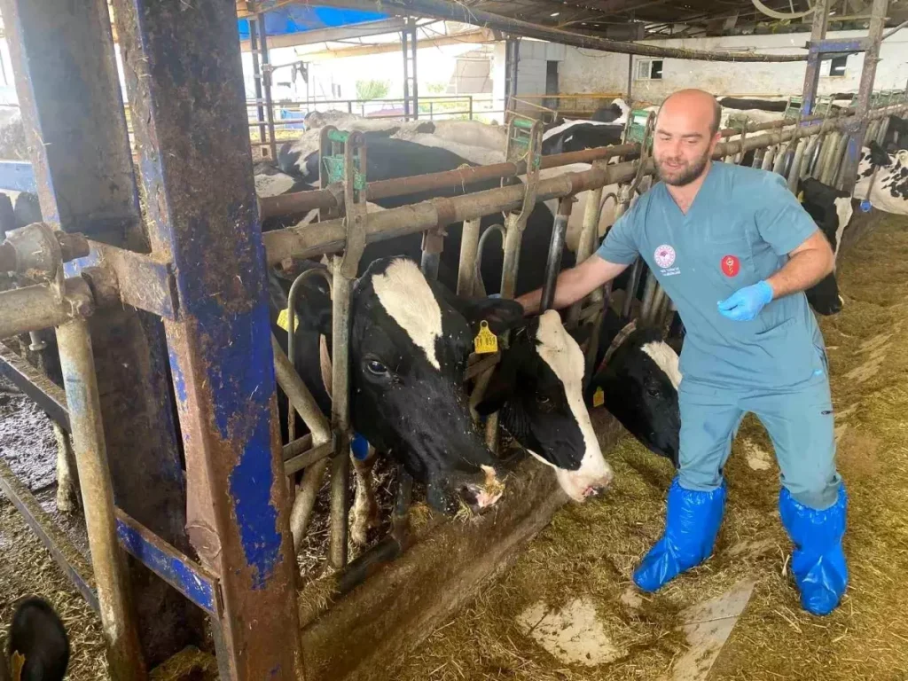 Hayvan Sağlığı İçin Kritik Uyarılar