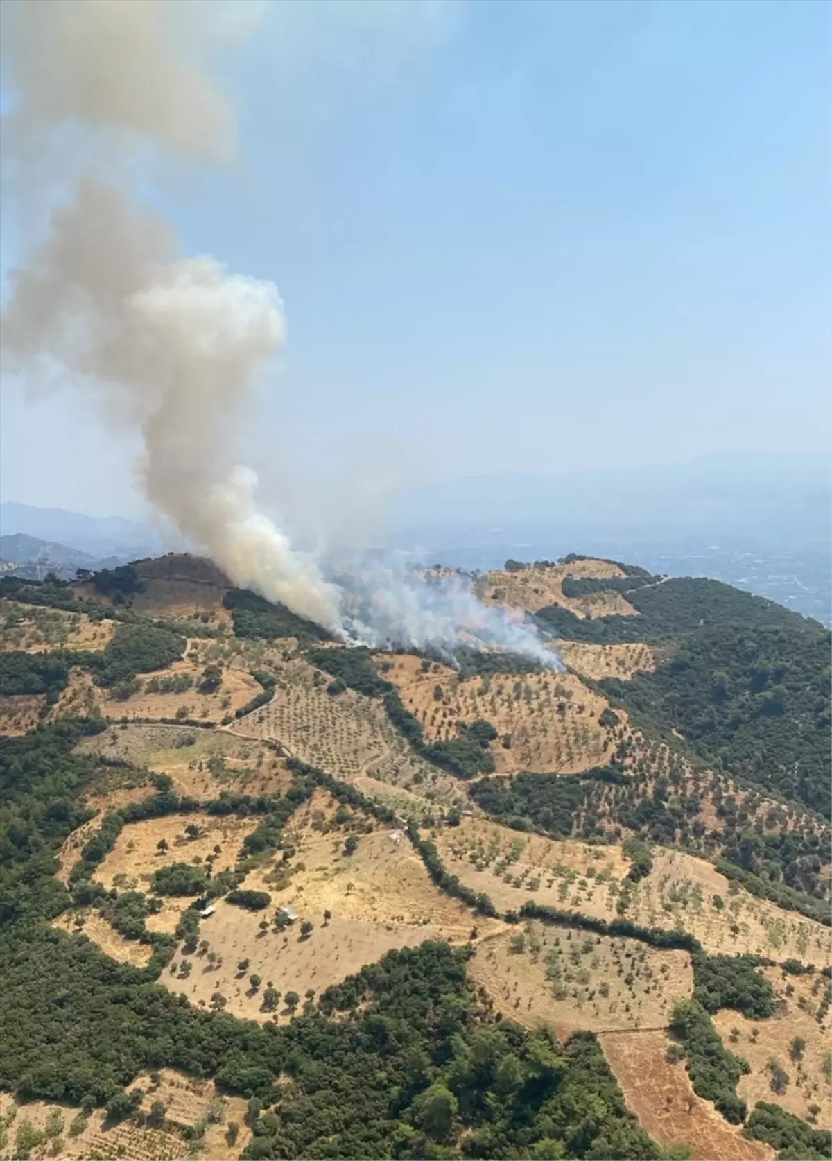 Aydın’da Kayınpeder Azrail Oldu