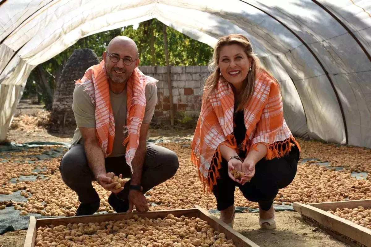 Giresun ve Aydın Arasındaki İş Birliği