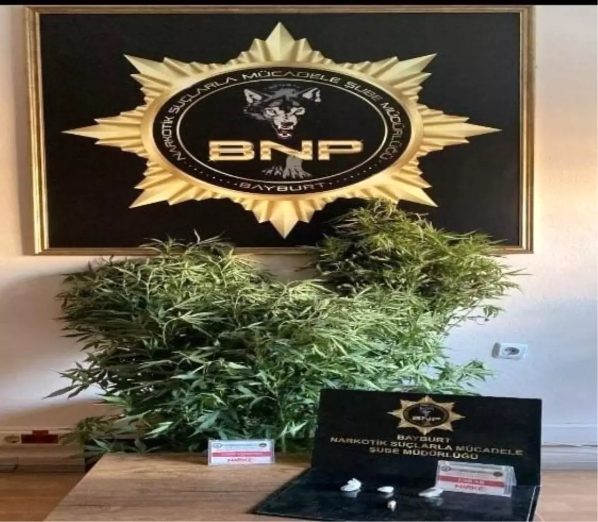 **Bayburt’ta Eş Zamanlı Narkotik Operasyonu**