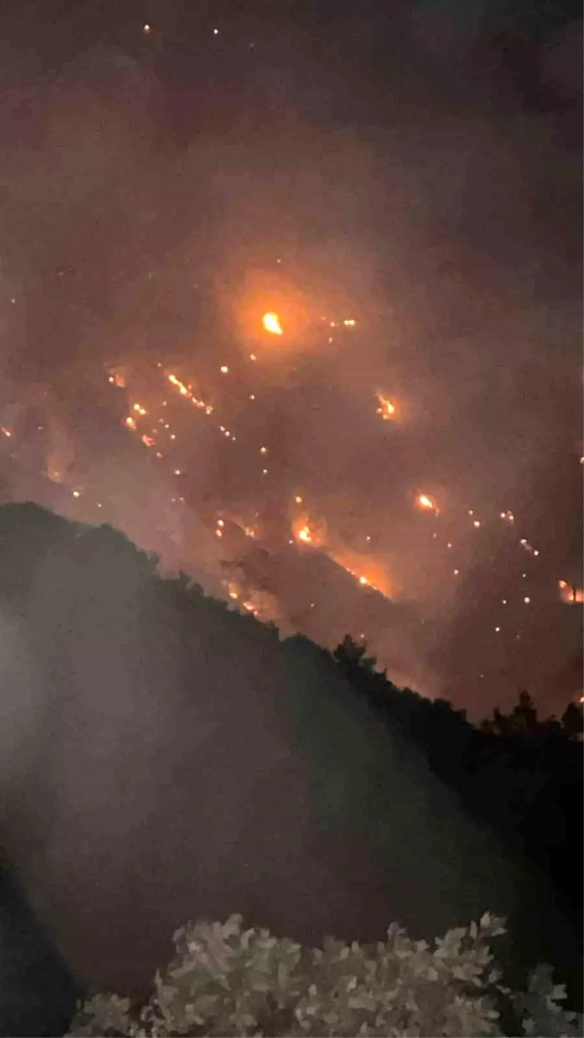 **Yangın Tehlikesi Bölgeyi Kuşattı: Müdahaleler Devam Ediyor**