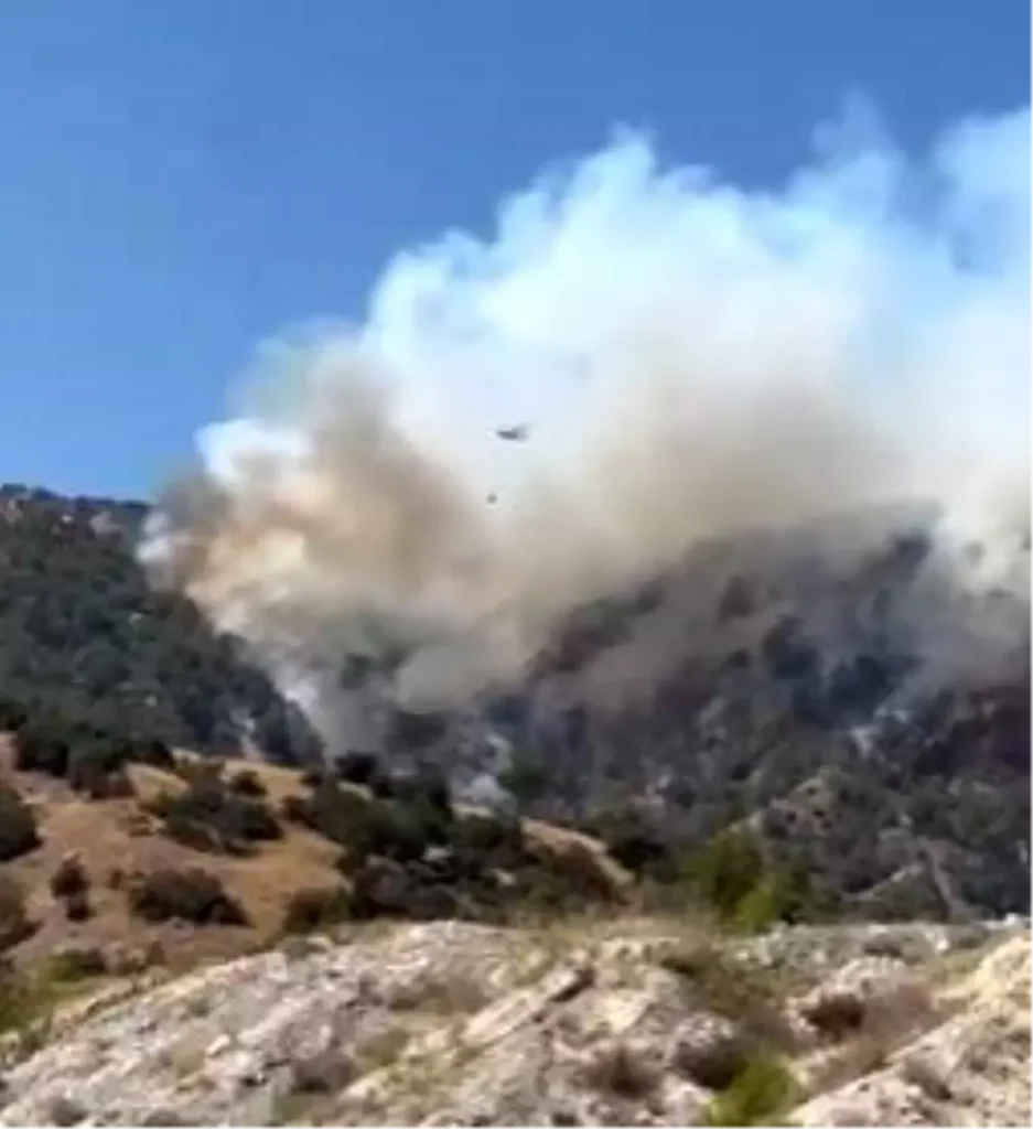 **Buldan’da Ormanda Yangın: Dozer Operatörü Yaralandı**