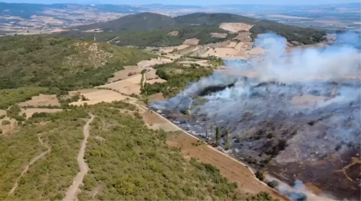 Bursa’daki Ormanyangını Kontrol Altına Alınmaya Çalışılıyor