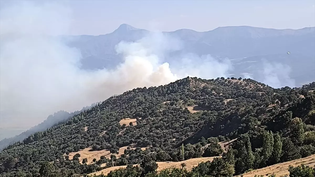 Denizli’de Ormana Yangını Kontrol Altına Alınmaya Çalışılıyor